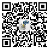 官方公眾號(hào)